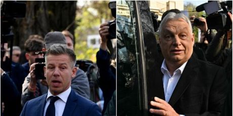 Peter Magyar, Viktor Orban