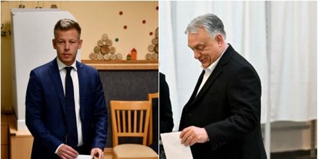Peter Magyar, Viktor Orban