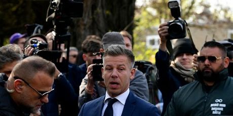 Izbori u Mađarskoj - 2