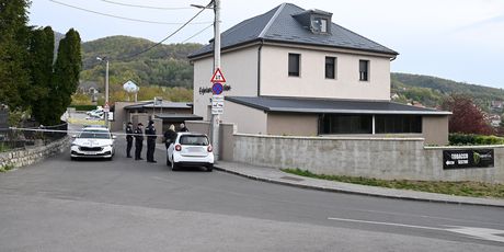 Policijski očevid na Šestinama - 1