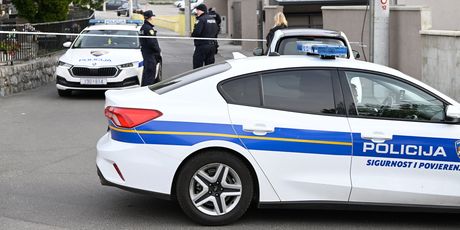 Policijski očevid na Šestinama - 2