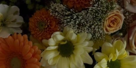 Una Čolić na Instagramu - 1