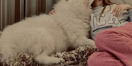 Ivana Mišerić i Frida