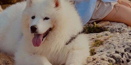 Ivana Mišerić i Frida