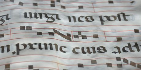 Kviz općeg znanja - 11