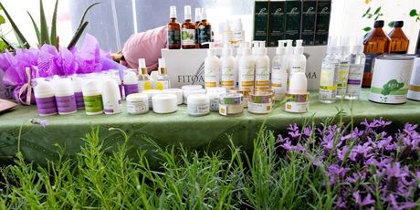 Festival samoniklog bilja - 6