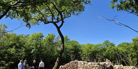 Ranokršćanska crkva