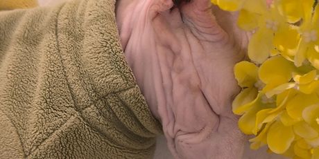 Antea Ćurin u Šangaju - 43