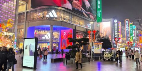 Antea Ćurin u Šangaju - 44