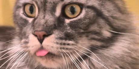 Antea Ćurin u Šangaju - 45