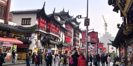 Antea Ćurin u Šangaju - 46