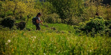 Highlander Samobor - 9