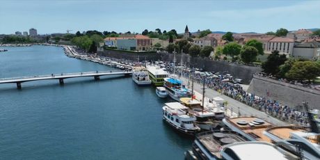 In Magazin: Wings for Life World Run - 3