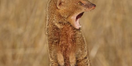 Hrvatska kakva se rijetko viđa - 4