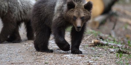 Hrvatska kakva se rijetko viđa - 5