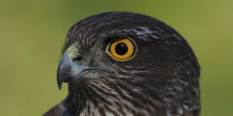 Hrvatska kakva se rijetko viđa - 6