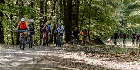 Dan planeta Zemlje u Moslavini - 5