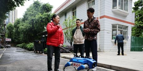 Robopsi za pomoć slabovidnim osobama u Chengduu u Kini - 2