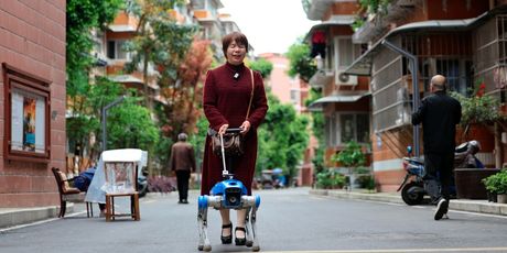 Robopsi za pomoć slabovidnim osobama u Chengduu u Kini - 4