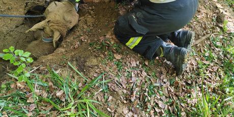 Izvlačenje kobile iz jame