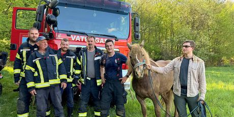 Izvlačenje kobile iz jame