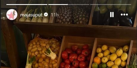Maja Šuput na Instagramu