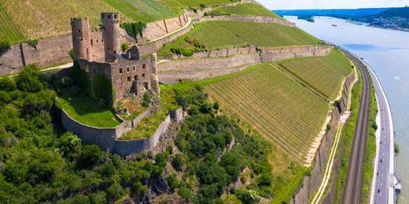 Dvorci rijeke Rajne - 4