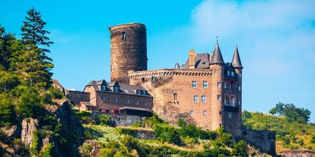 Dvorci rijeke Rajne - 5