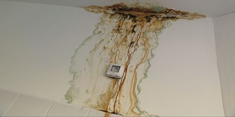 Studentska menza - 3