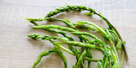 Bljušt (Tamus communis)