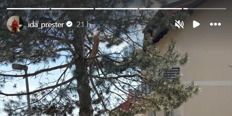 Ida Prester na Instagramu - 3