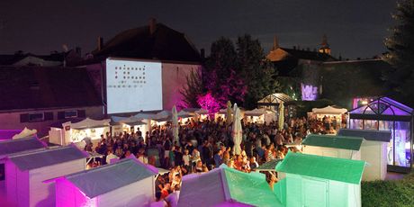 Vinski grad