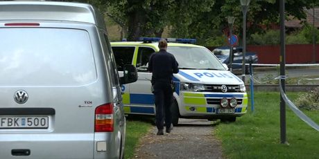 Krađa kraljevskog nakita u Švedskoj (Foto: Dnevnik.hr) - 1