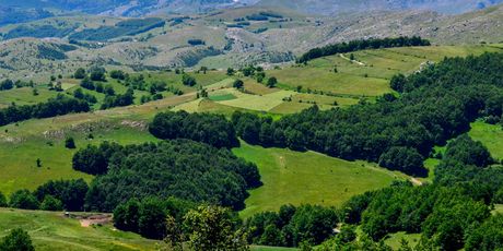 Bjelašnica