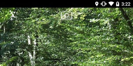 Pokemon GO (Foto: Screenshot/Google.play)