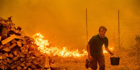 Požar u Kaliforniji (Foto: AFP)