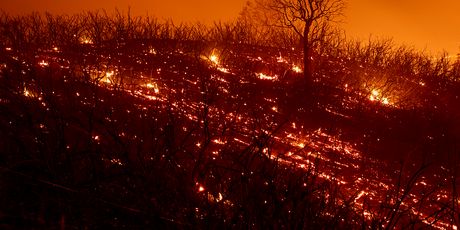 Požar u Kaliforniji (Foto: AFP)