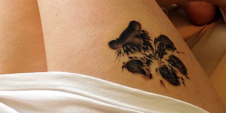 Tetovaže šapa (Foto: boredpanda.com) - 23