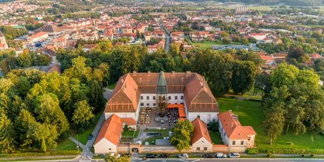 Dvorac grofa Jankovića