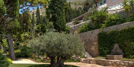Dubrovnik Eden - 3