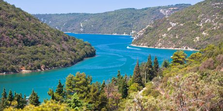Limski kanal