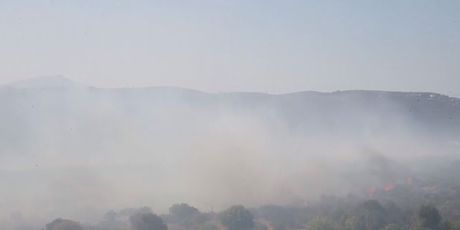 Požari u Grčkoj (Foto: Dnevnik.hr)