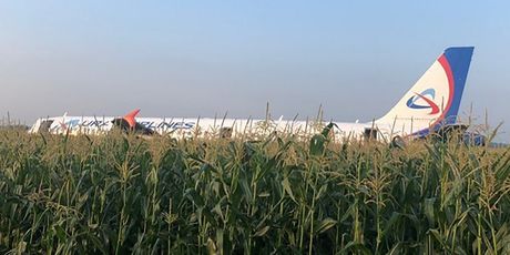 Avion Ural Airlinesa prinudno sletio u polje (Foto: AFP)