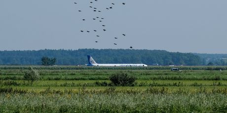 Avion Ural Airlinesa prinudno sletio u polje (Foto: AFP) - 1