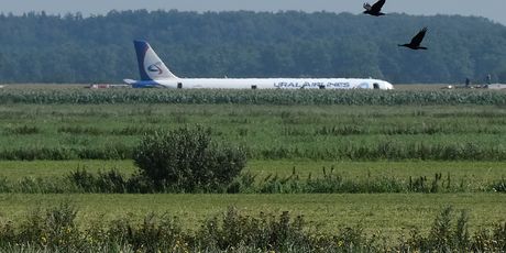 Avion Ural Airlinesa prinudno sletio u polje (Foto: AFP) - 2