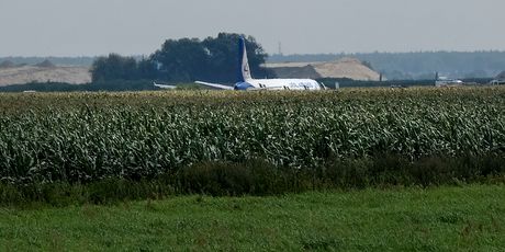 Avion Ural Airlinesa prinudno sletio u polje (Foto: AFP) - 3