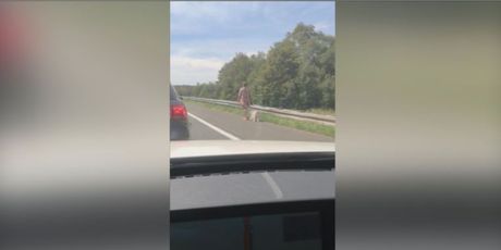 Žena šeta psa po autocesti (Foto: Dnevnik.hr)