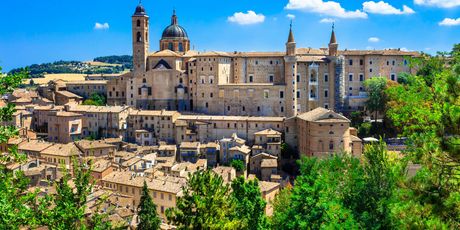 Urbino