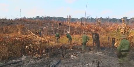 Požari uništavaju Amazonsku prašumu (Foto: Dnevnik.hr)