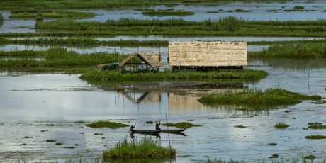 Jezero Loktak u Indiji - 2